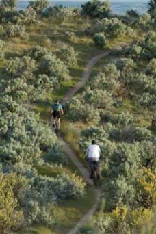 Two mountain bikers head up a small dirt trail surrounded by greenery