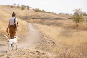 Dog on leash on trail being lead by owner.