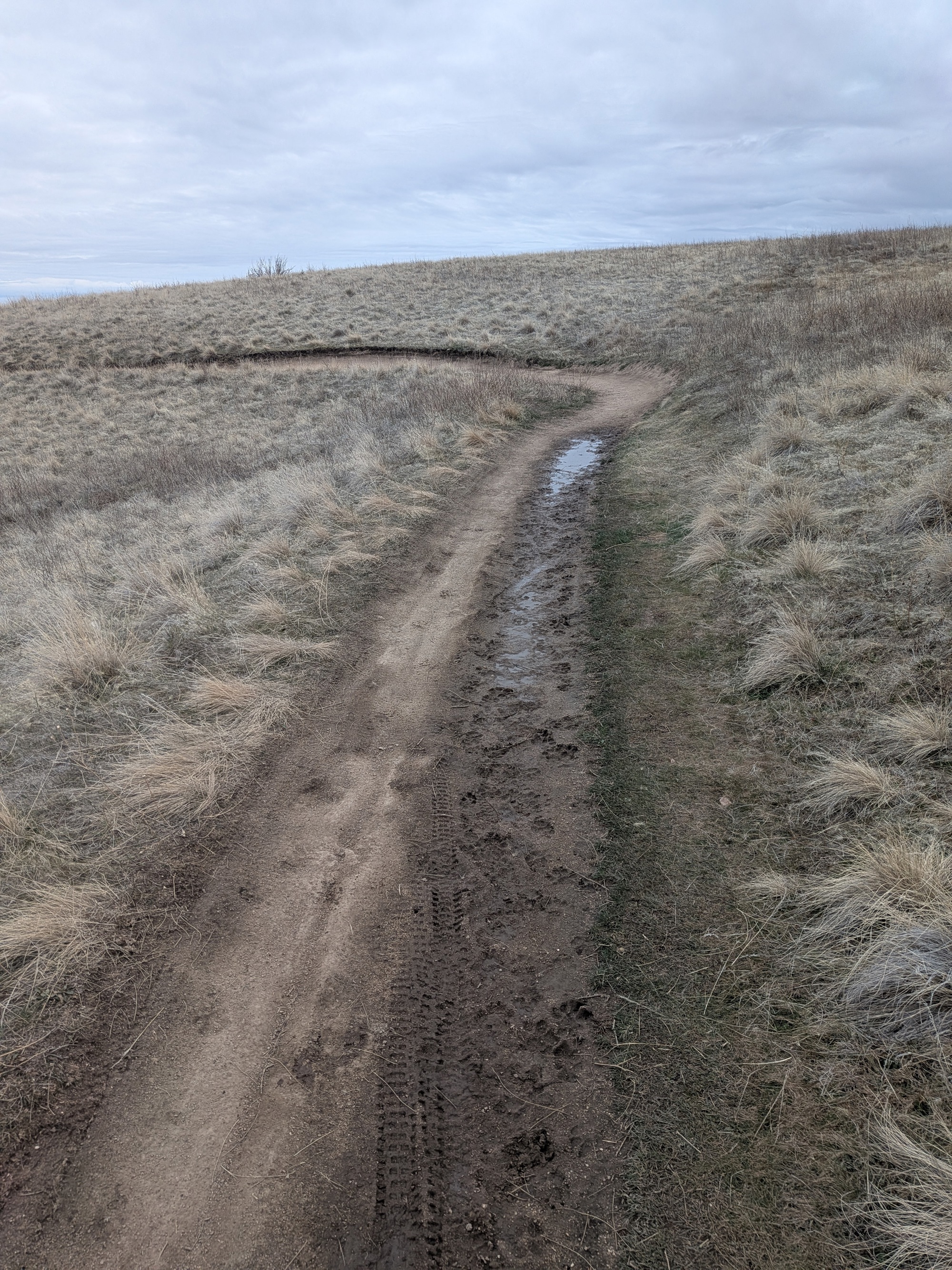 March 2 Trail Report | Ridge to Rivers