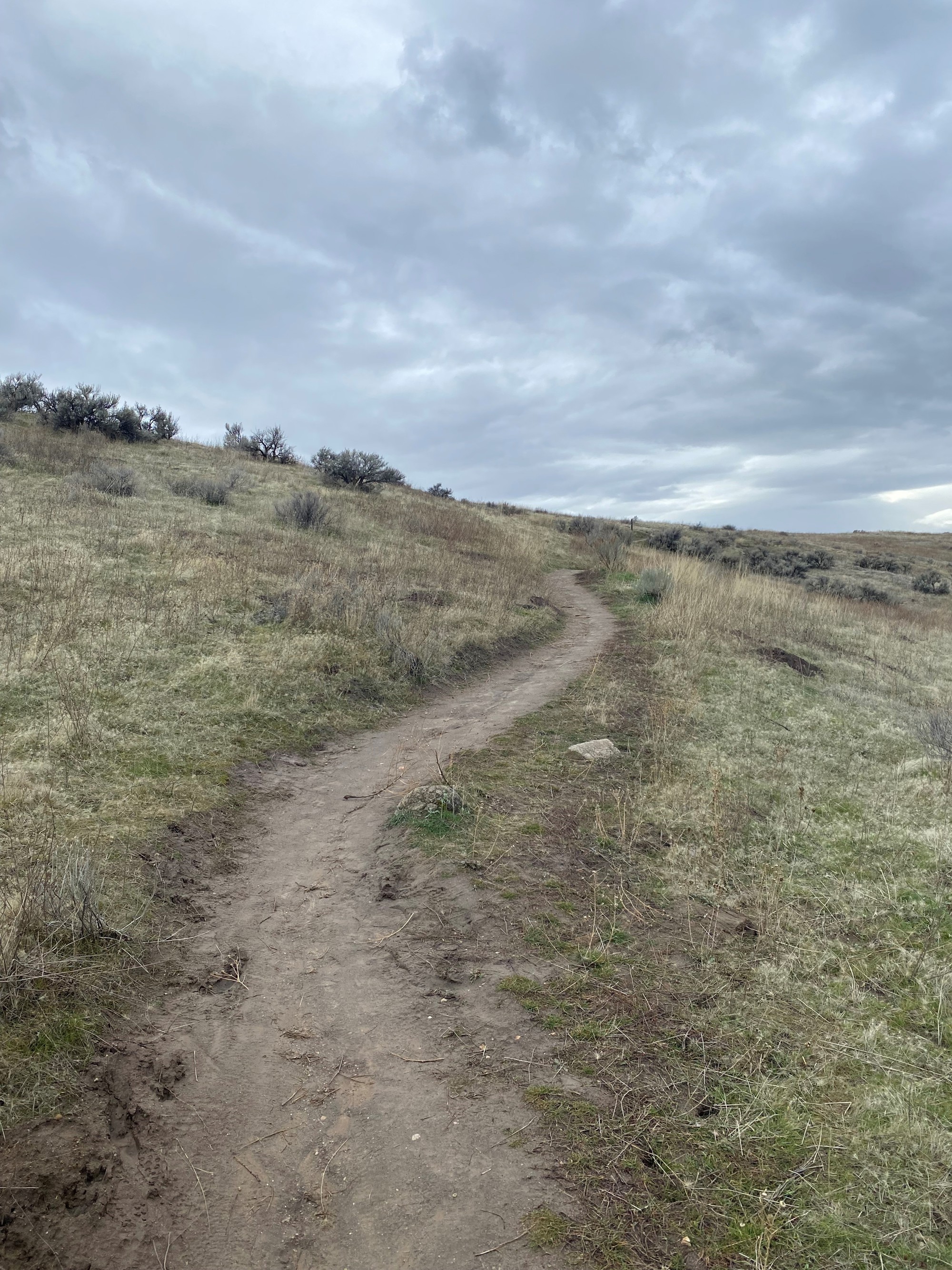 Santral Ridge January 6 Trail Report | Ridge to Rivers