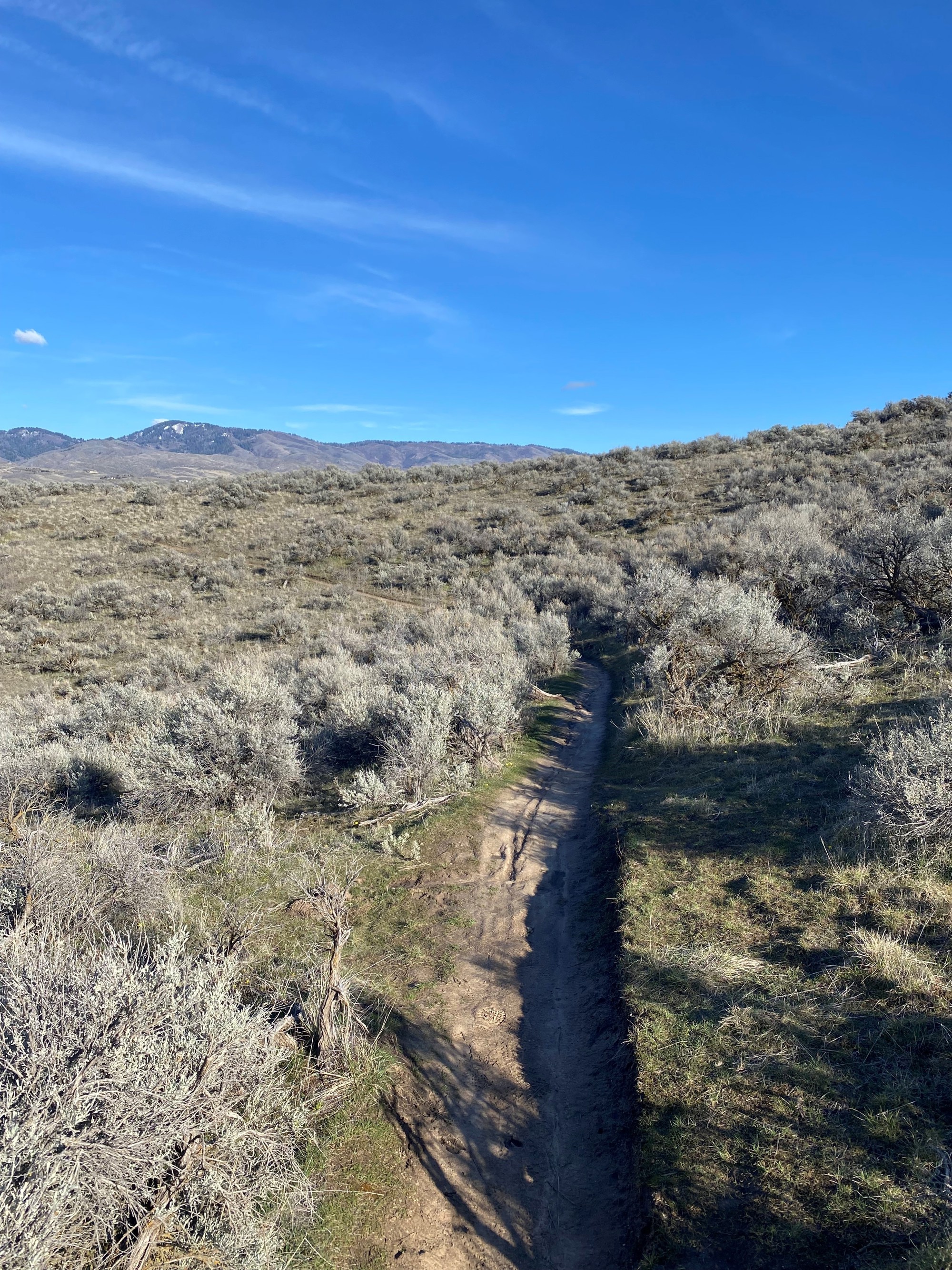 March 4 Trail Report | Ridge to Rivers