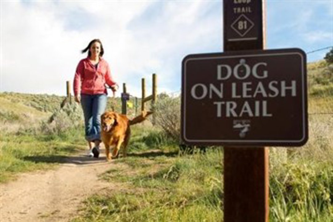 Woman walking dog on on-leash trail