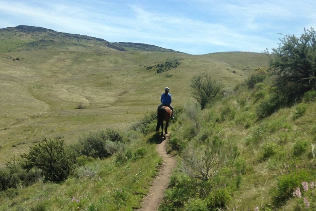 View of trail on horseback following another equestrian rider.