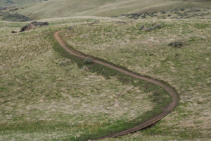 A winding dirt trail cuts through Boise Foothills grassy slopes, now open after seasonal closures.