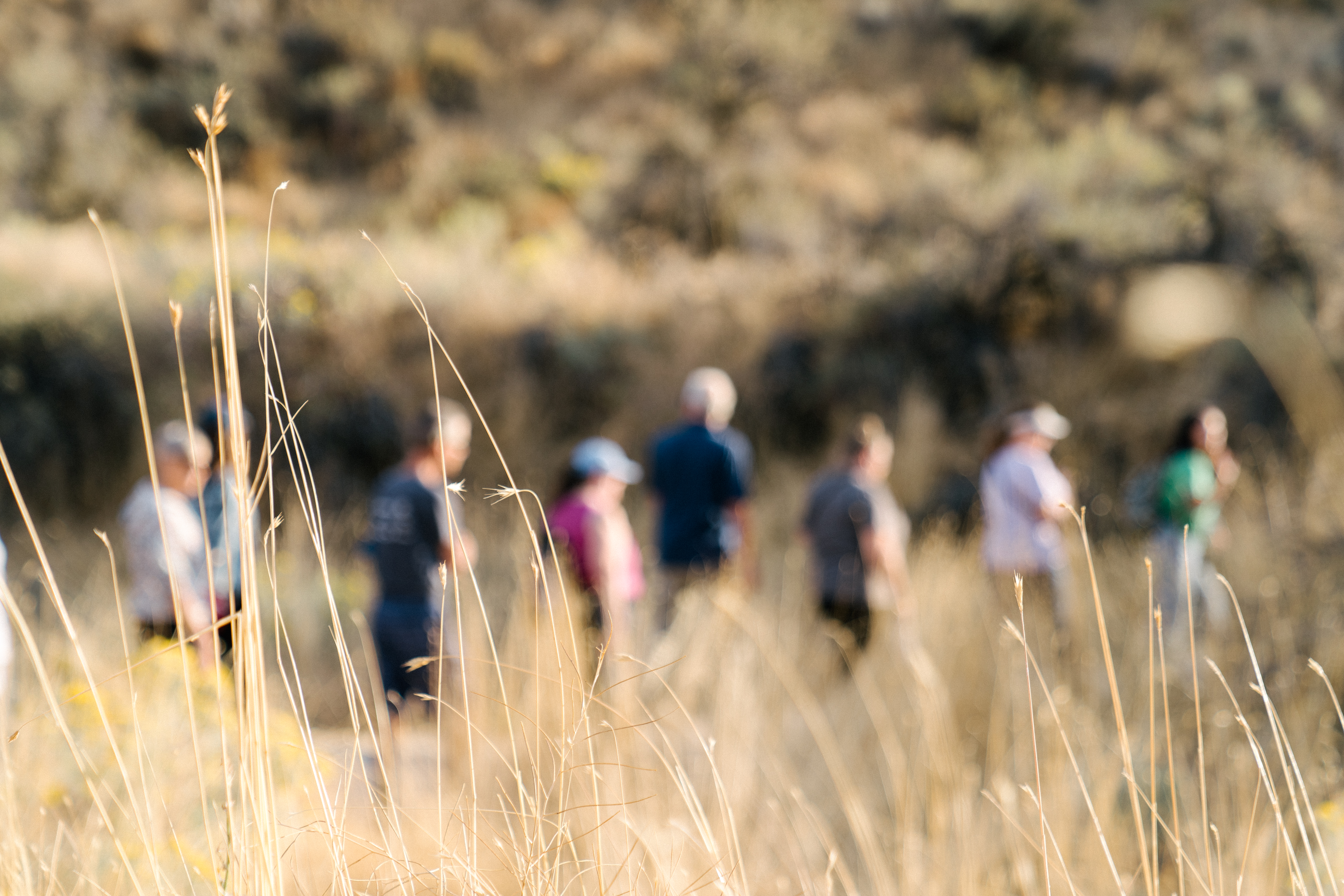 Pedestrians on trail.