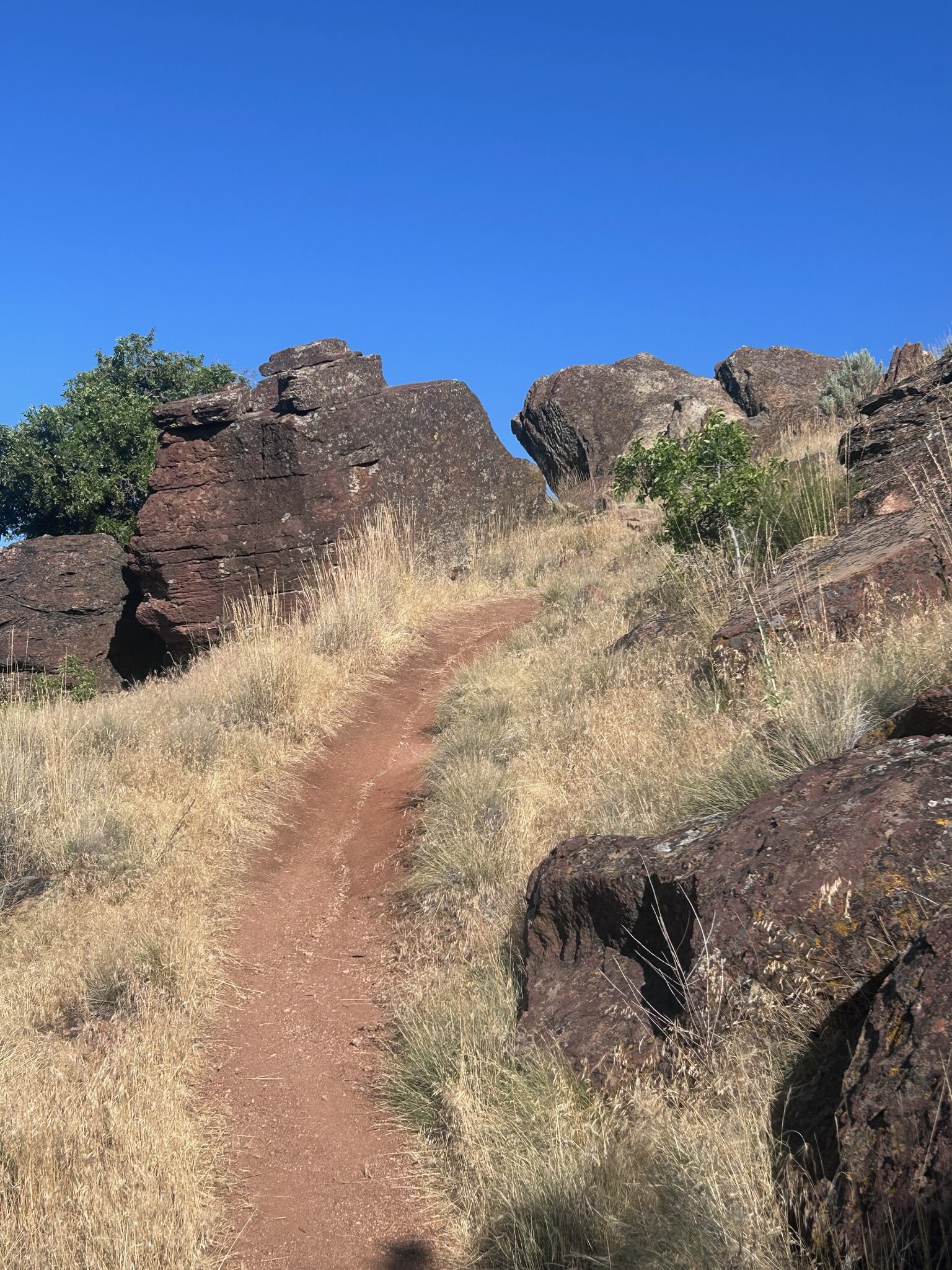 Rock Island Access Trail