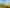 Cityscape over tree line from trail with fall sun highlighting the trees.