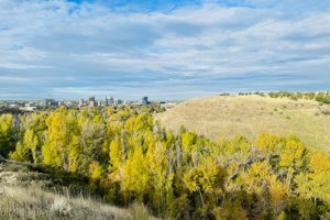 Cityscape over tree line from trail with fall sun highlighting the trees.