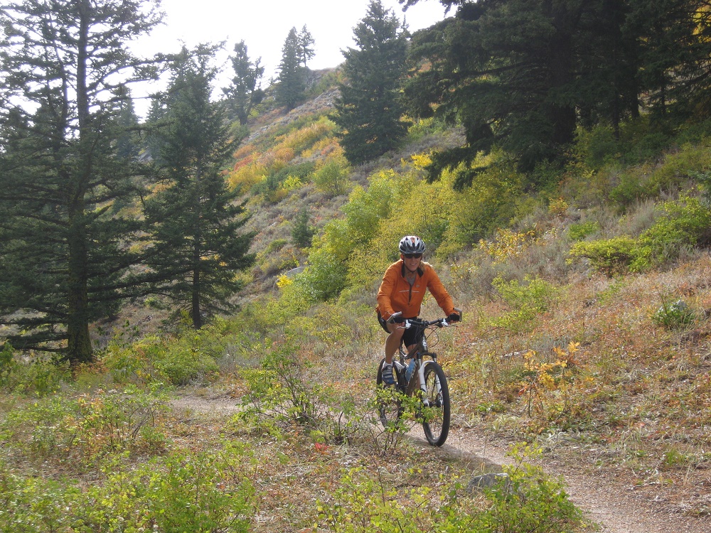 Shafer Trails 10 21 11