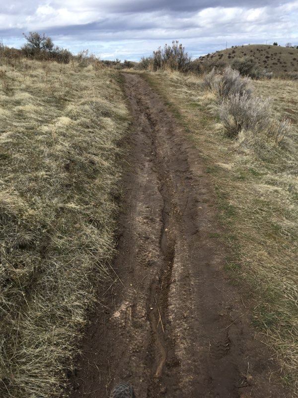 Wet Weather Creates Muddy Trail Conditions in the Boise Foothills ...